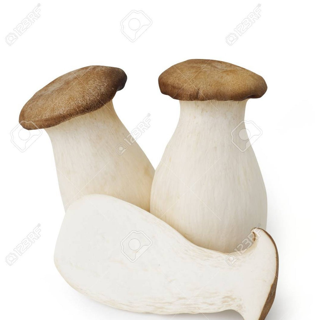 King Oyster Mushroom (100g)