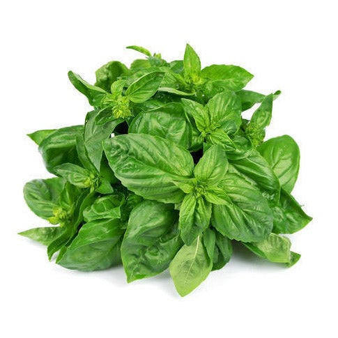 Basil Leaves 100g