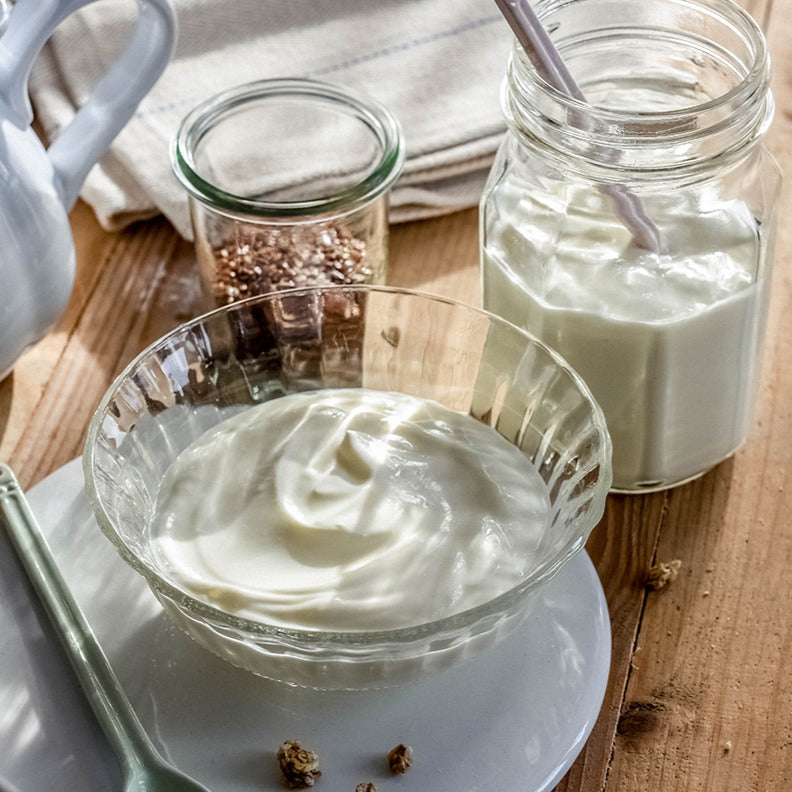 Fresh Creamy Yoghurt (500g)