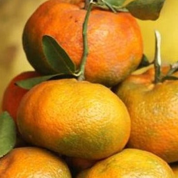 Kintamani Orange (1kg)