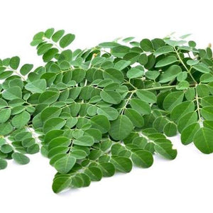 Moringa Leaves (100g)