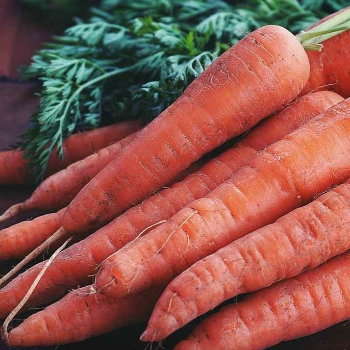 Baby Carrot (100g)