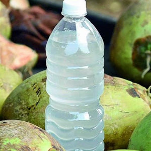 Coconut Water in Bottle ( 500ml)