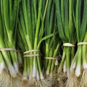 Spring Onion (100g)