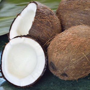 Coconut - Mature (perpiece)