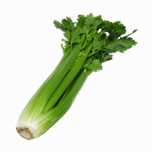 Celery Stick (1kg)