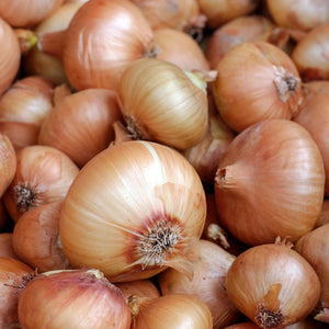 Onion (100g)