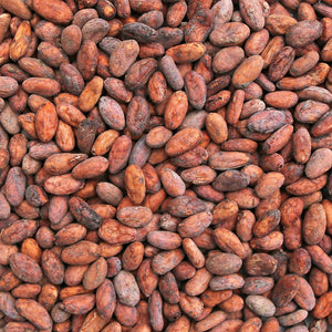 Raw Peeled Cacao Beans (100g)