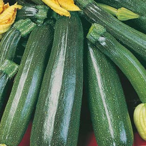Zucchini (100g)